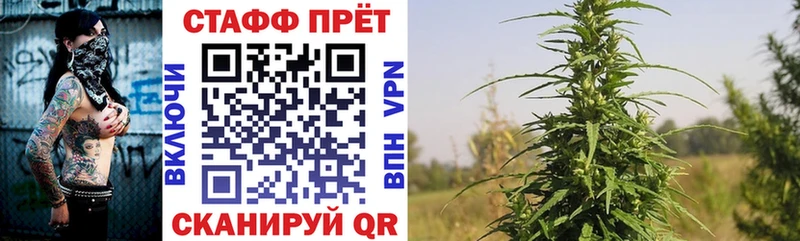 Купить закладку А ПВП Псилоцибиновые грибы Мефедрон Гашиш Конопля Динская