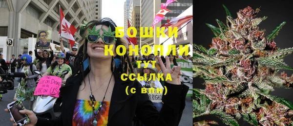 СК Вяземский