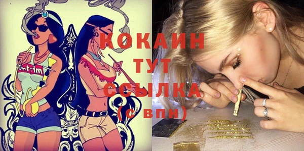 СК Вяземский