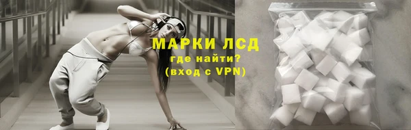 СК Вяземский