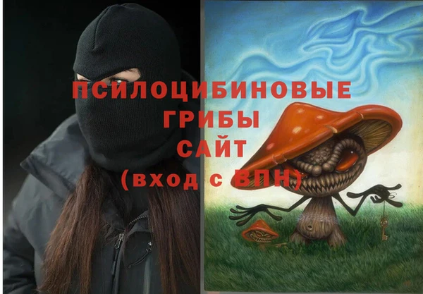 СК Вяземский